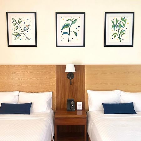 Hotel Plaza Rioverde Río Verde 外观 照片