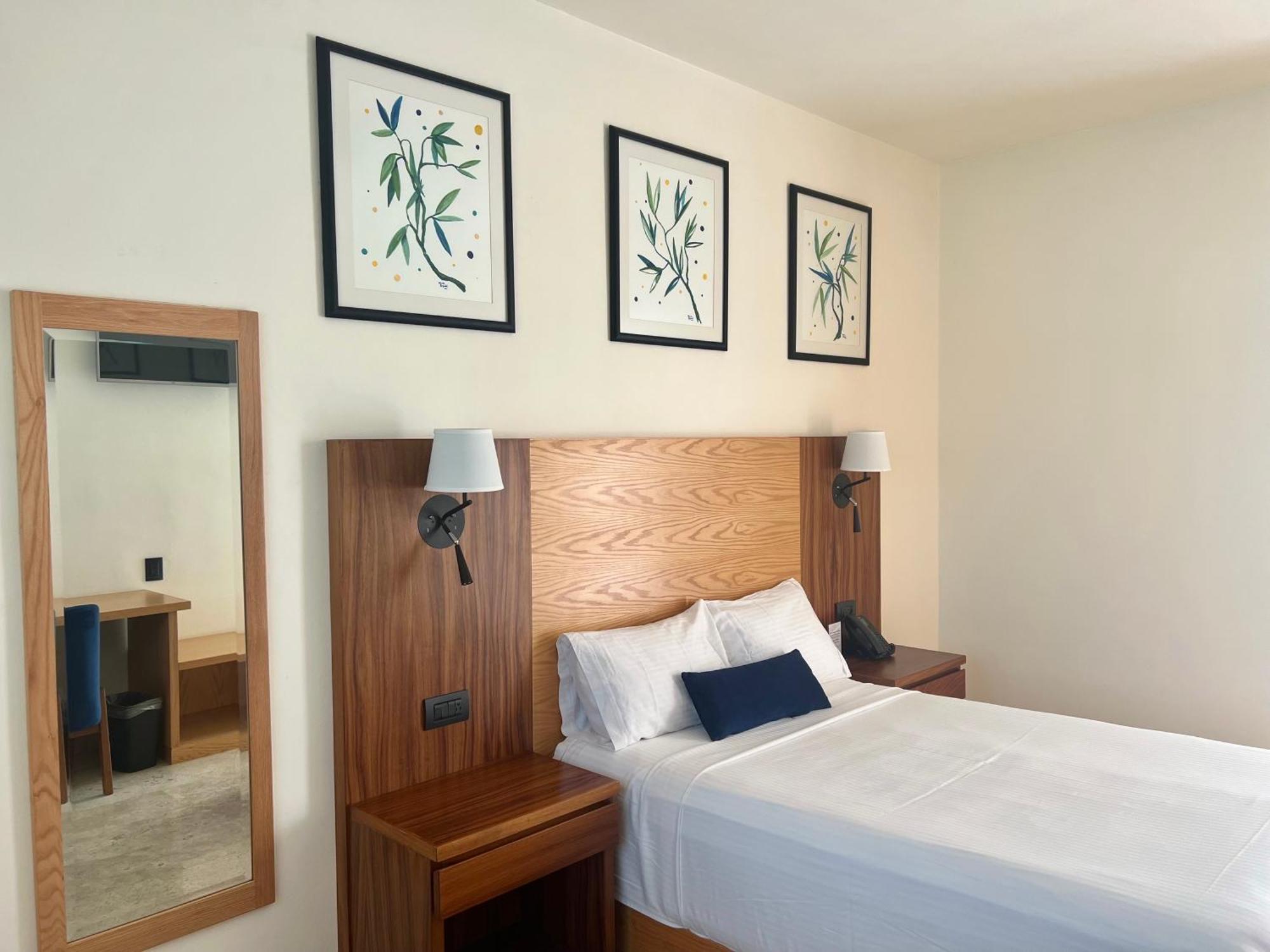 Hotel Plaza Rioverde Río Verde 外观 照片