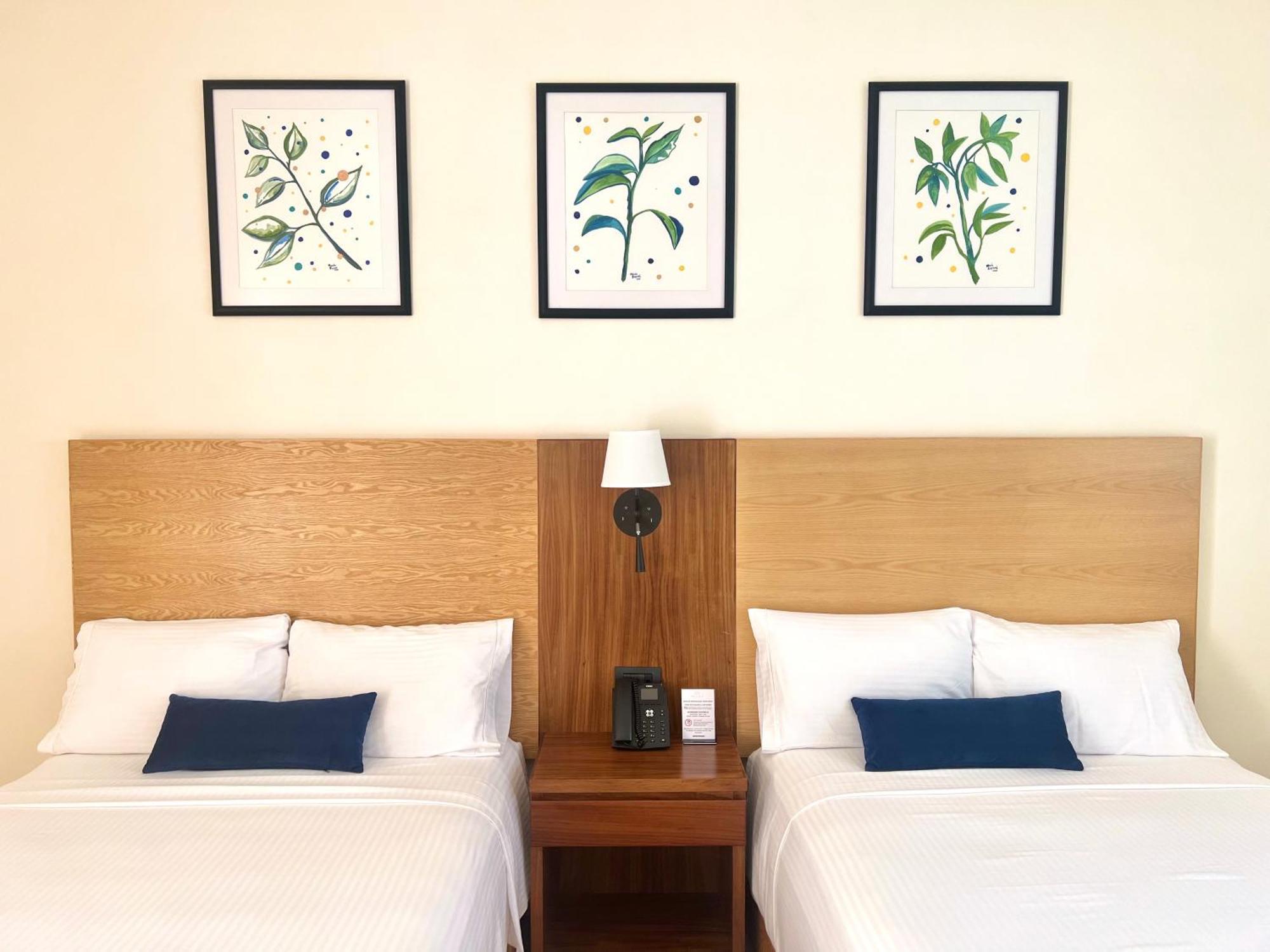 Hotel Plaza Rioverde Río Verde 外观 照片